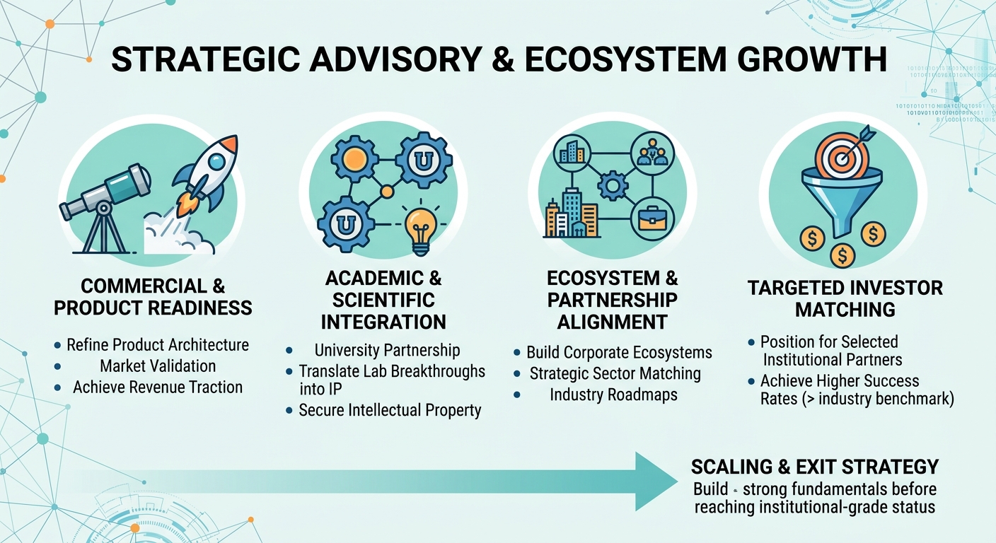 Strategic Advisory Beyond Traditional Venture Capital for Scale-Ups and Research Spin-Outs Monaco